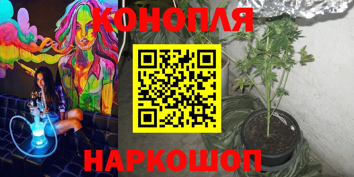Бошки марихуана MAZAR Бугуруслан